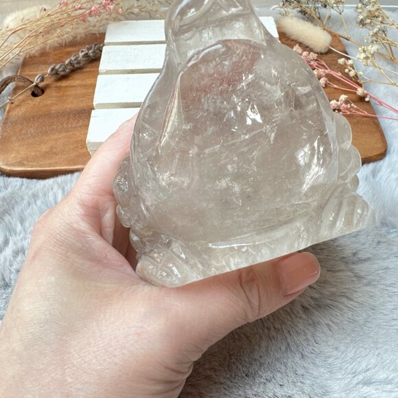 Gorgeous Lodalite Money Toad | Money Frog - Picture 8 of 10